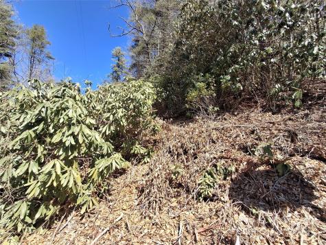 0 Vess Owen Road Tuckasegee NC 28783