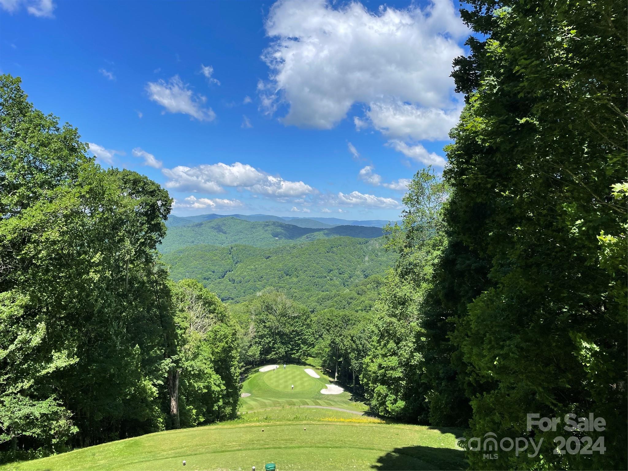 000 El Miner Drive Mars Hill NC 28754