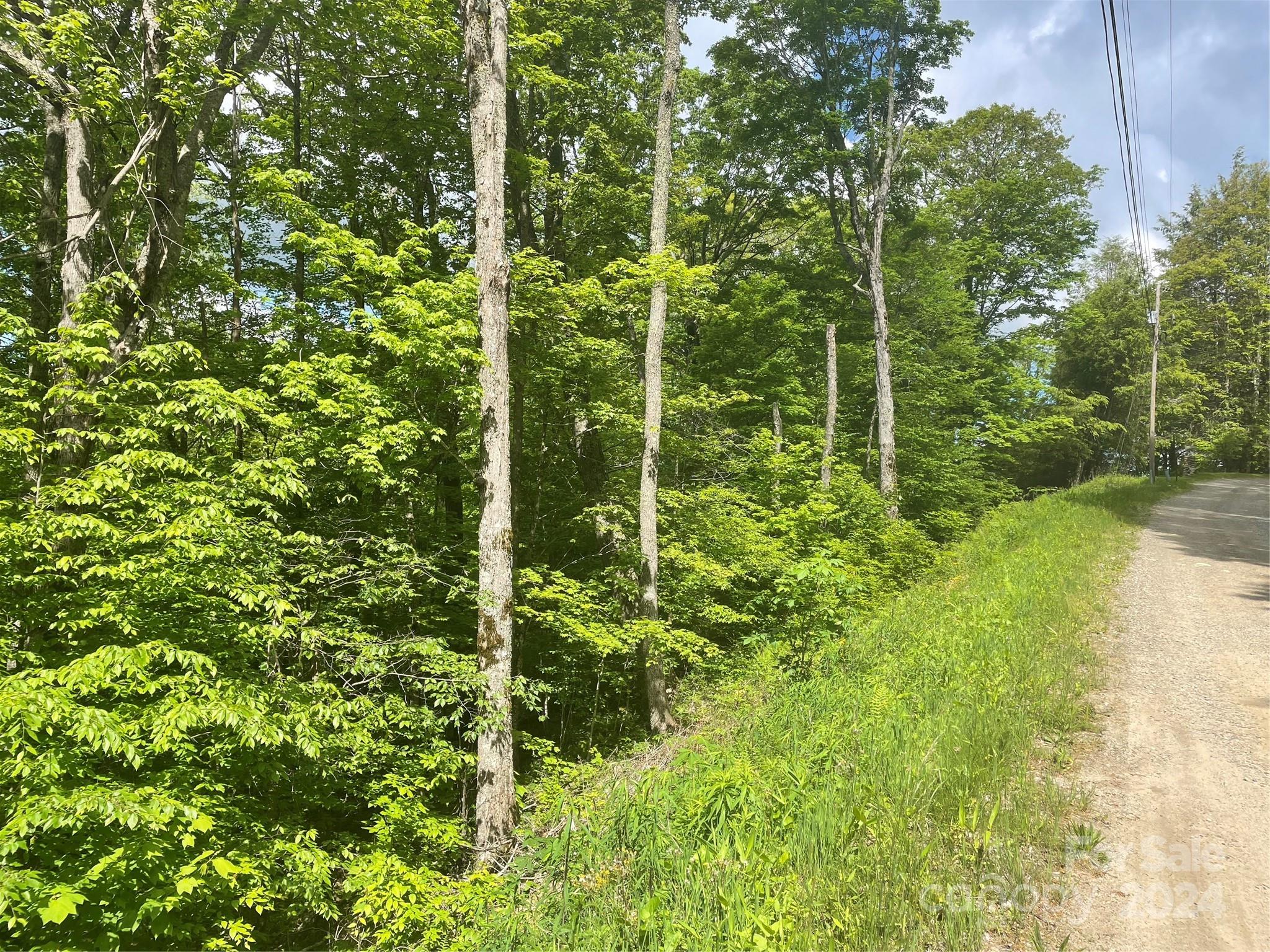 000 El Miner Drive Mars Hill NC 28754