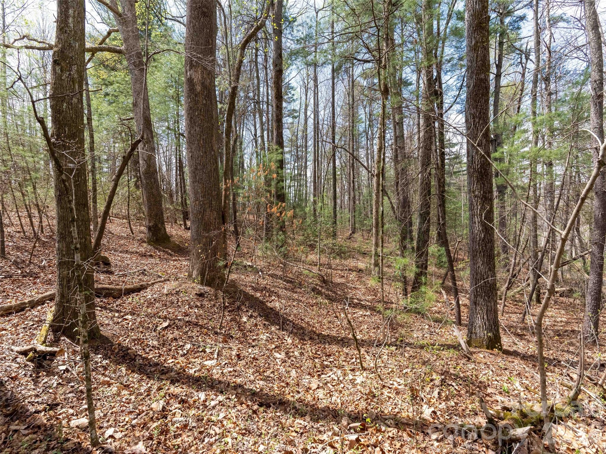 00 E Hilltop Drive Saluda NC 28773