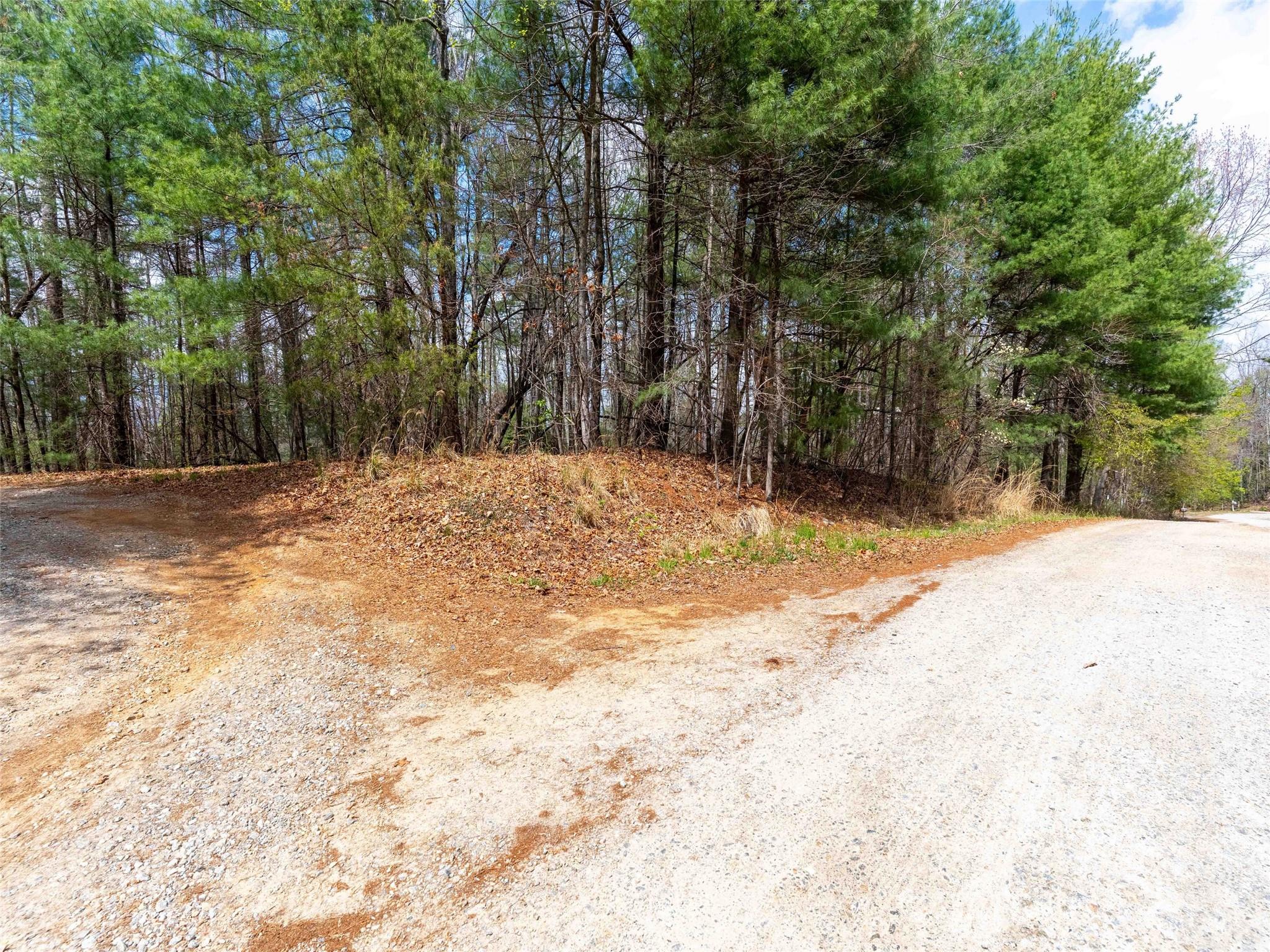 00 E Hilltop Drive Saluda NC 28773