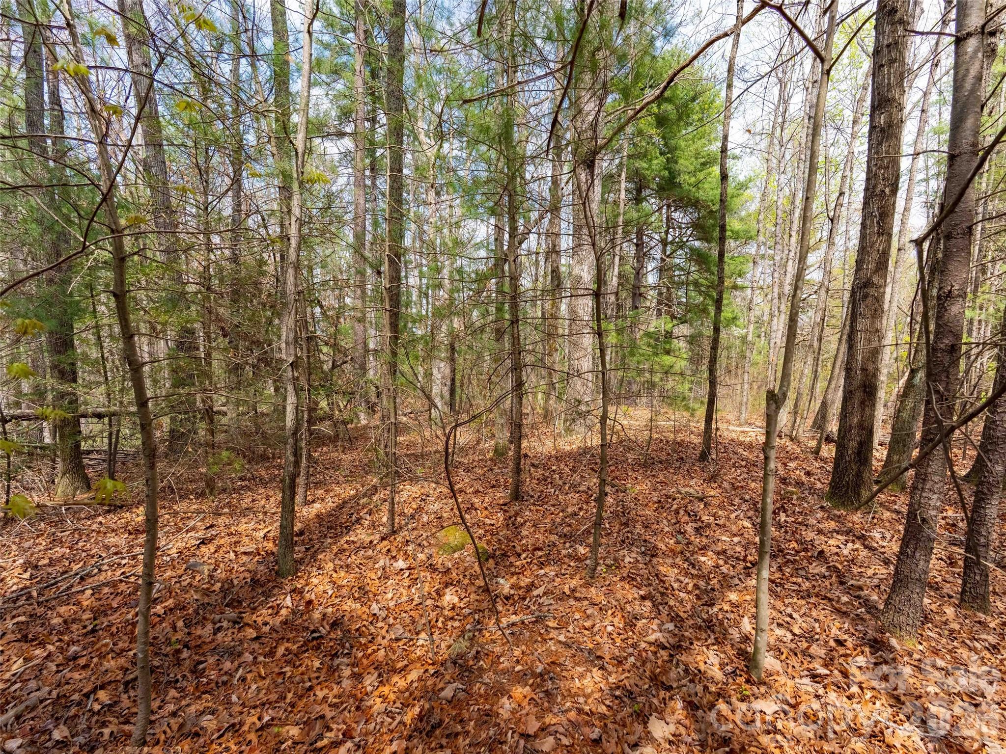 00 E Hilltop Drive Saluda NC 28773