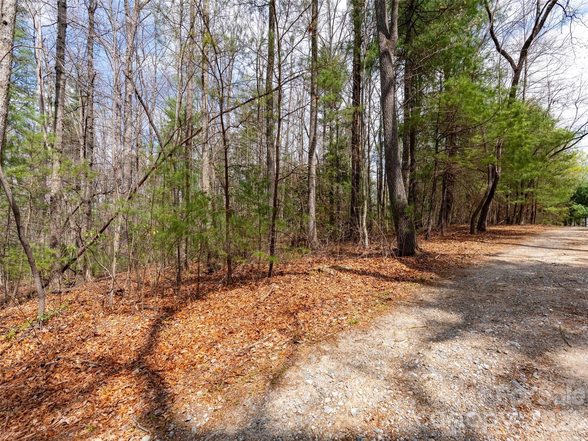 00 E Hilltop Drive Saluda NC 28773
