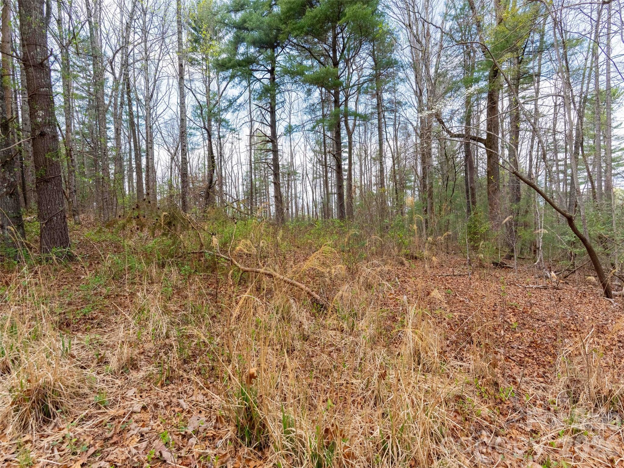 00 E Hilltop Drive Saluda NC 28773