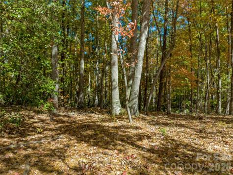 75 Emerald Necklace Drive Asheville NC 28803