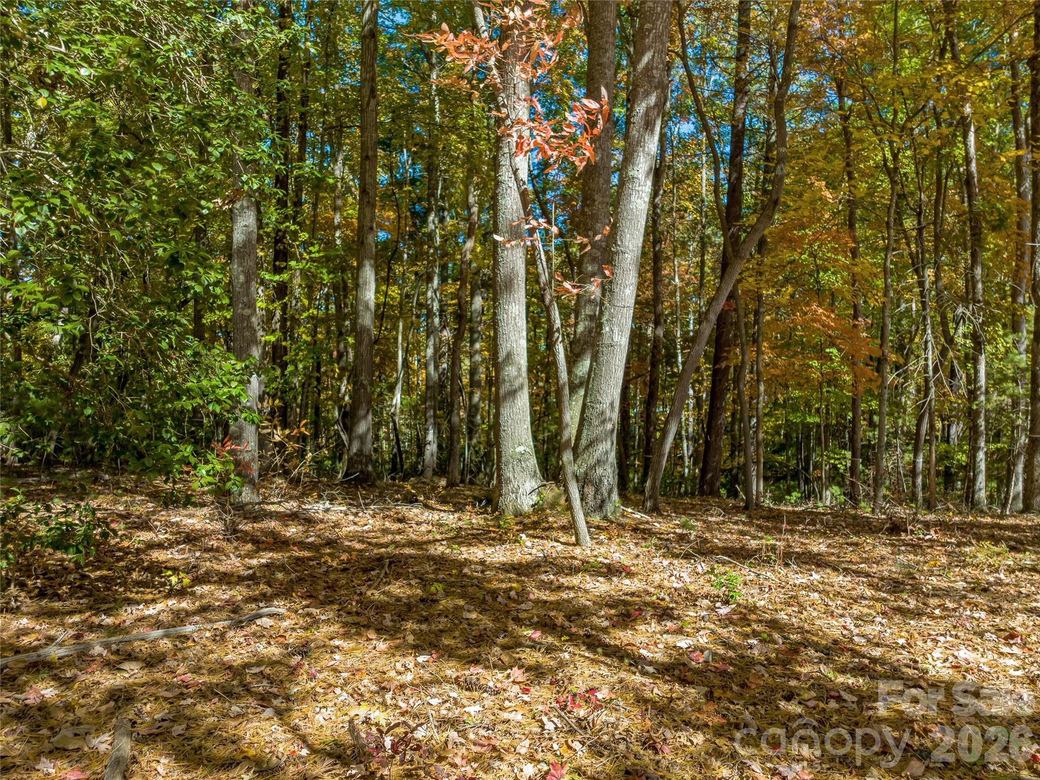75 Emerald Necklace Drive Asheville NC 28803