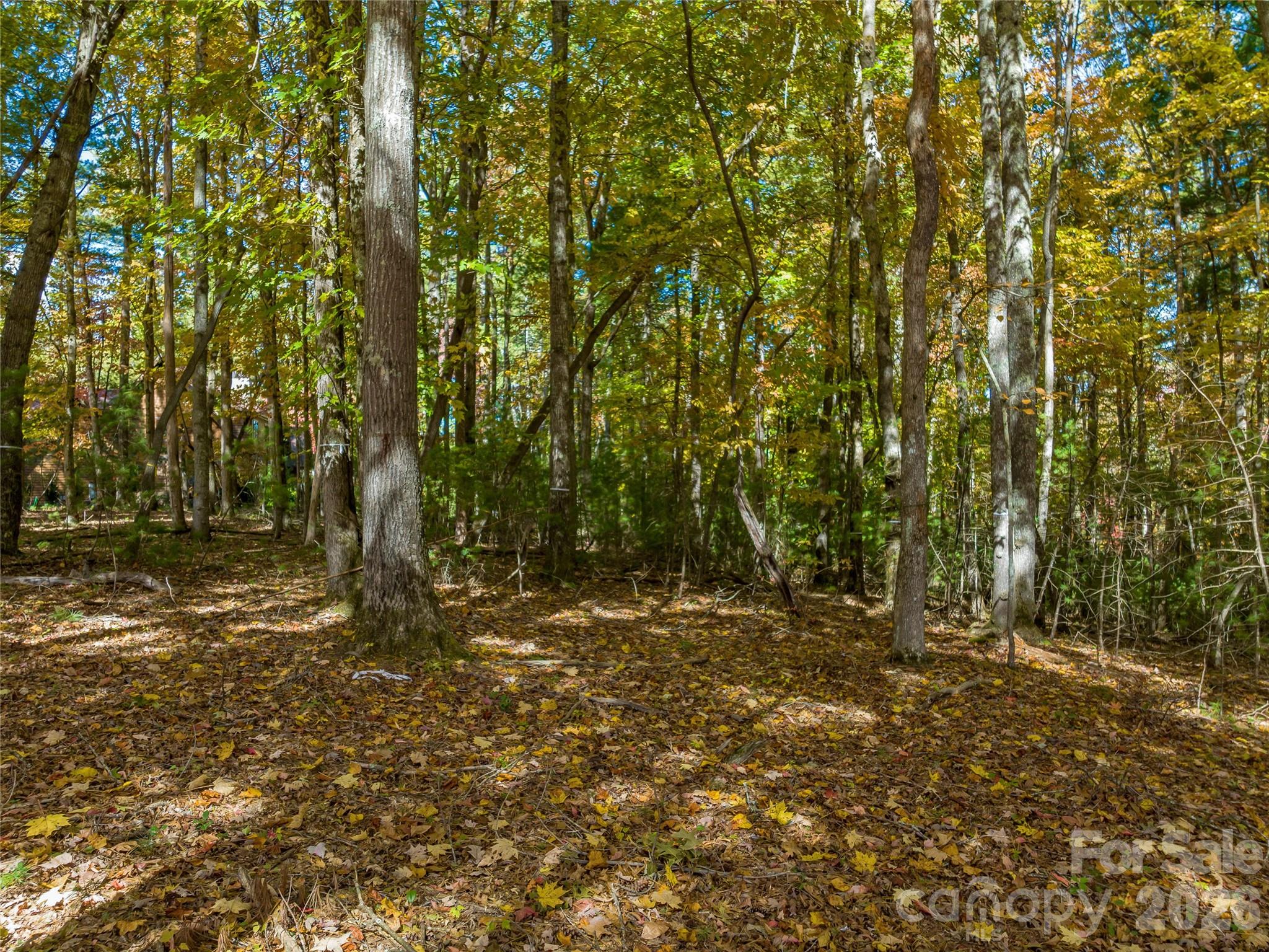 75 Emerald Necklace Drive Asheville NC 28803