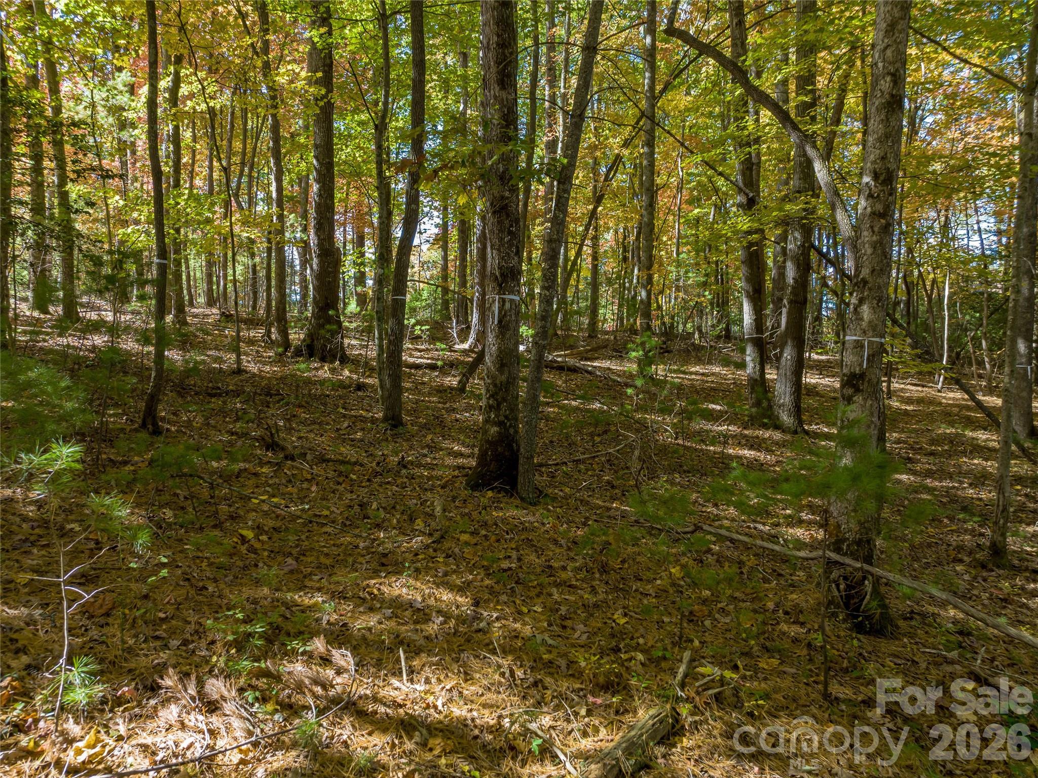 75 Emerald Necklace Drive Asheville NC 28803