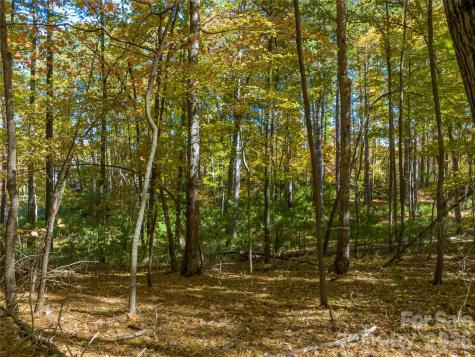 75 Emerald Necklace Drive Asheville NC 28803