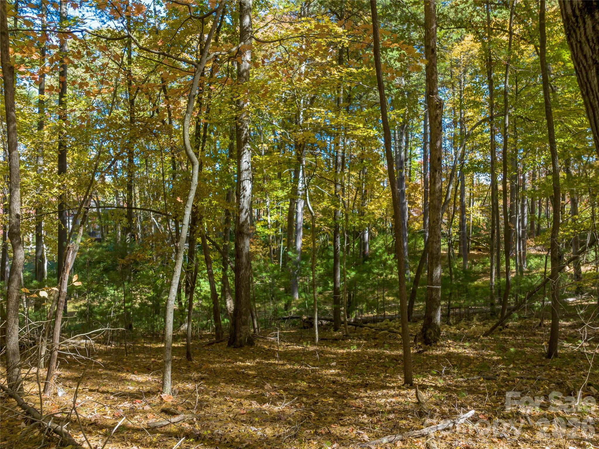 75 Emerald Necklace Drive Asheville NC 28803