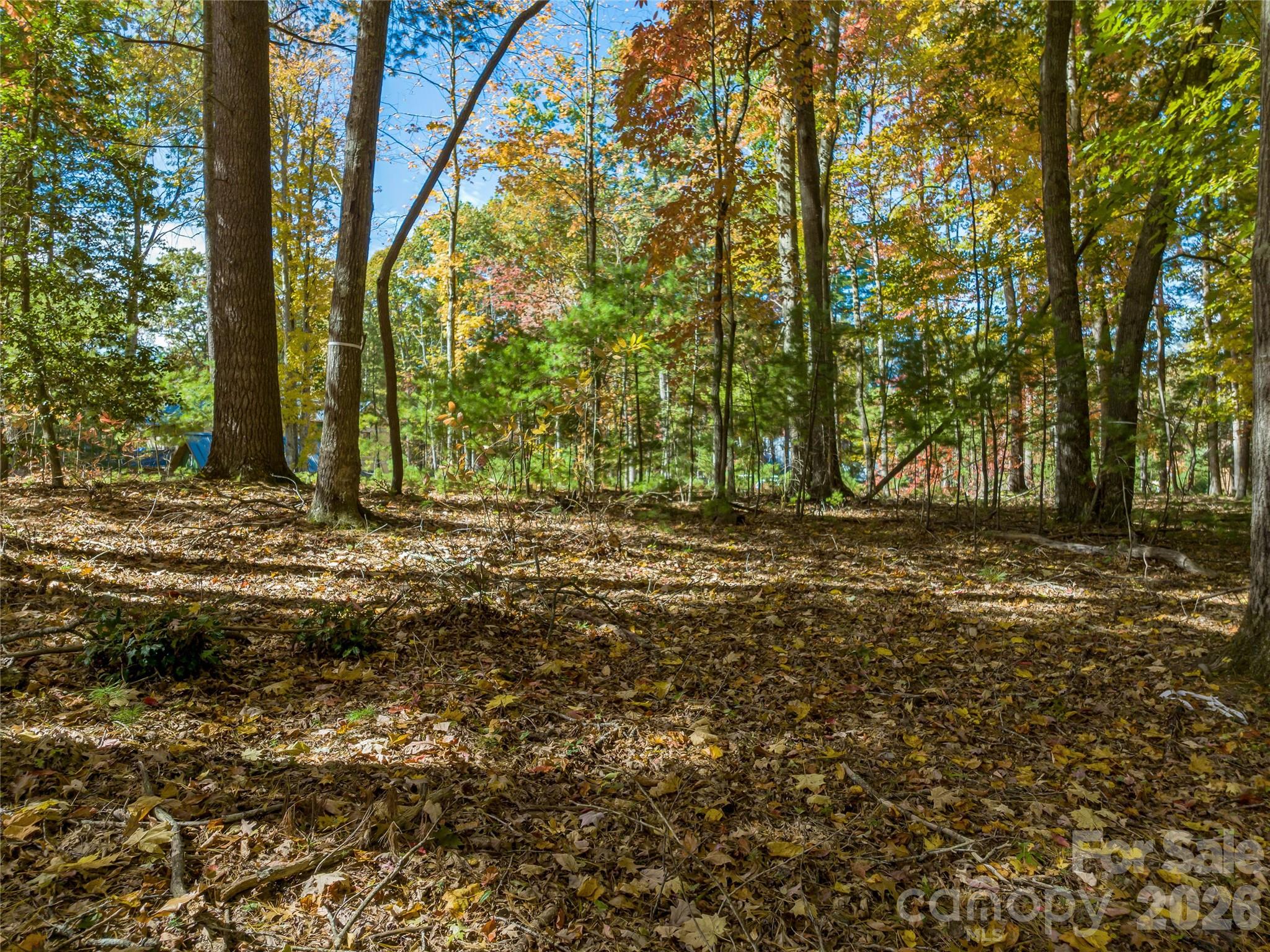 75 Emerald Necklace Drive Asheville NC 28803