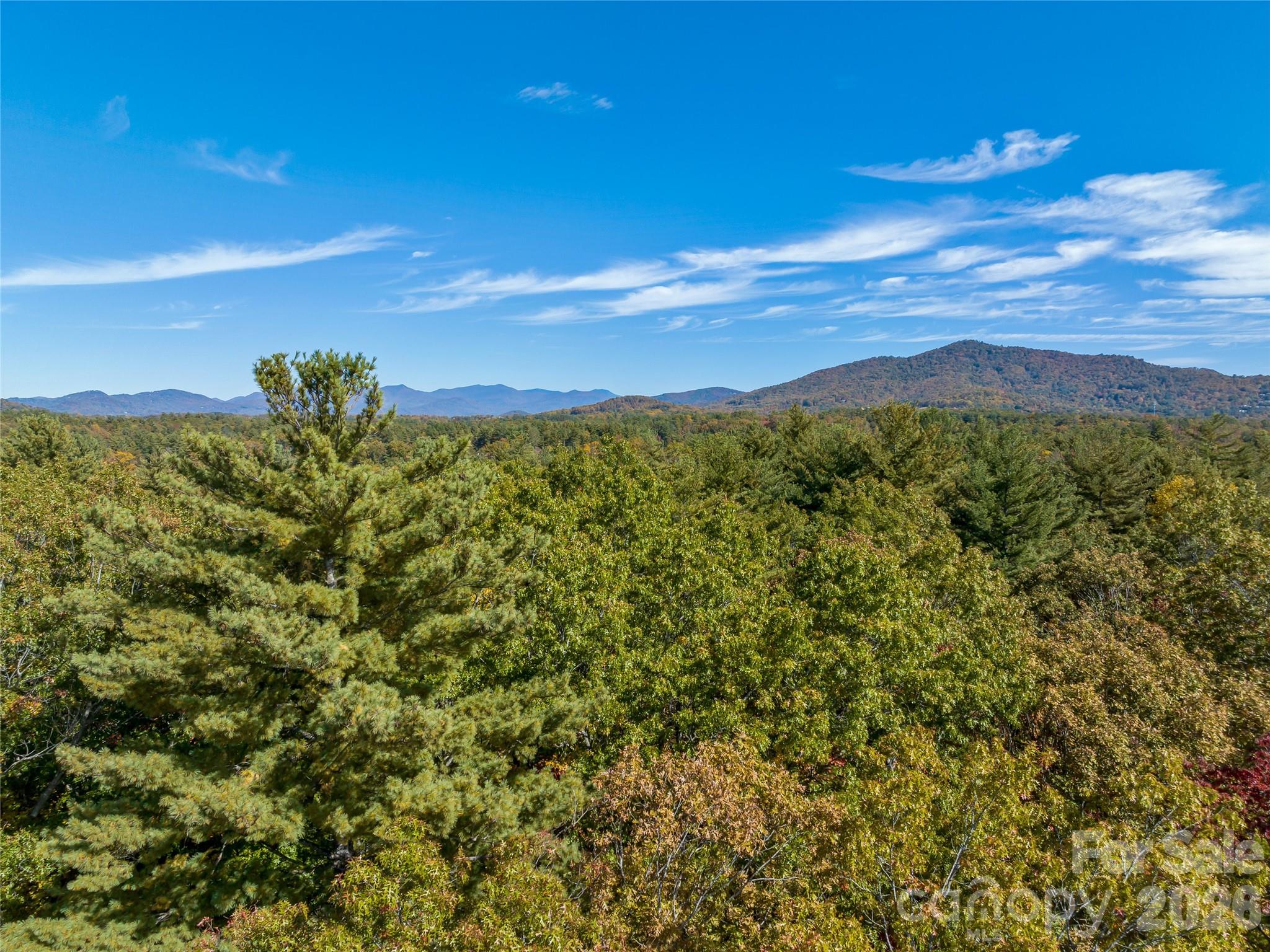 75 Emerald Necklace Drive Asheville NC 28803