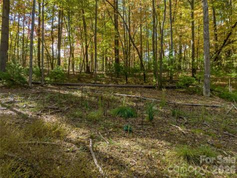 75 Emerald Necklace Drive Asheville NC 28803