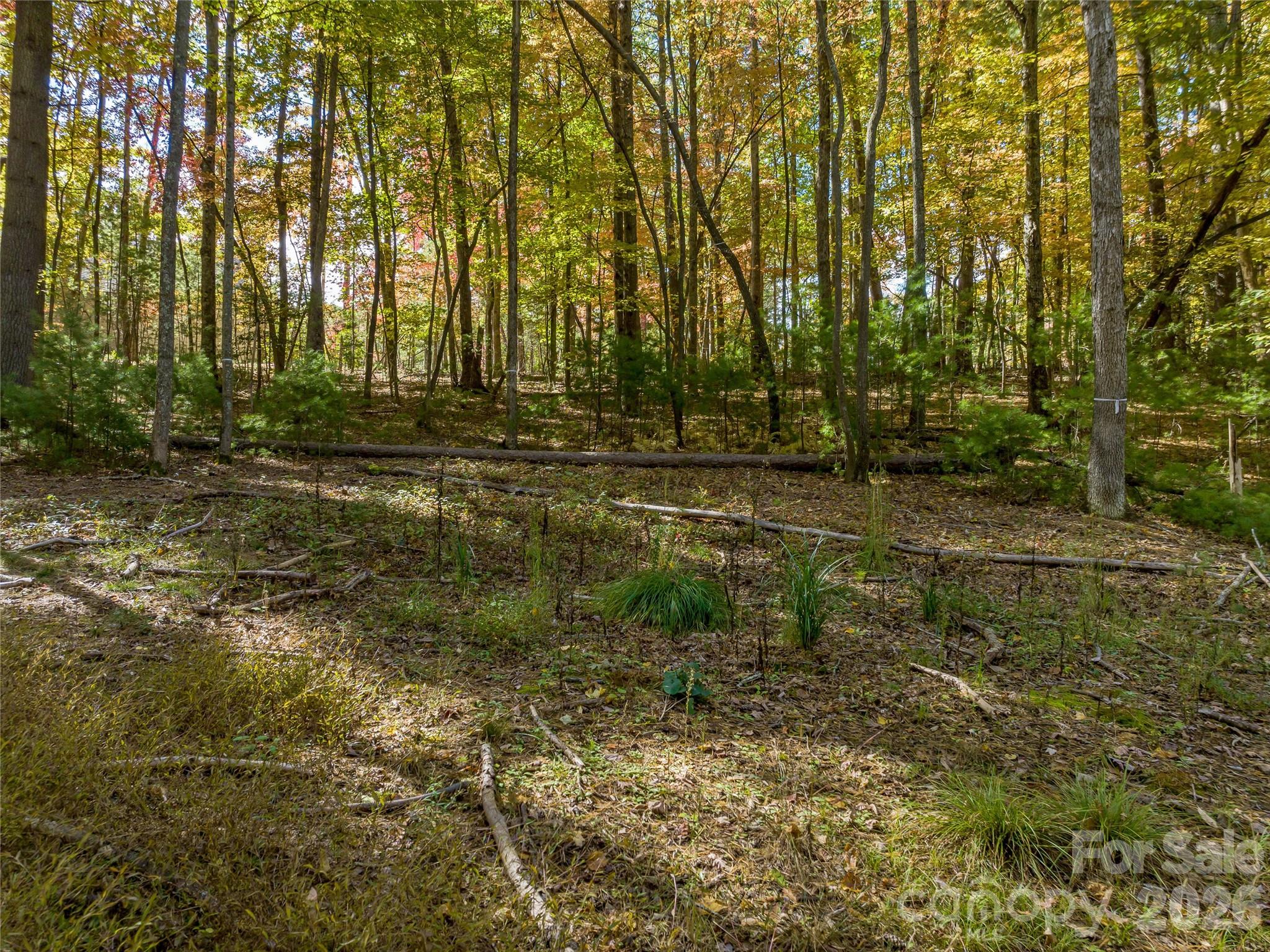 75 Emerald Necklace Drive Asheville NC 28803