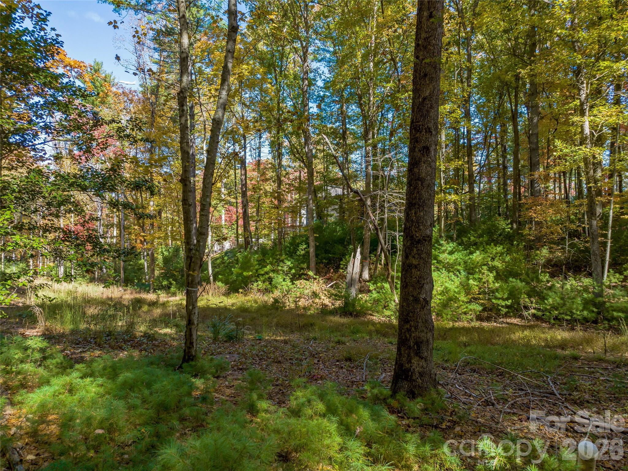 75 Emerald Necklace Drive Asheville NC 28803