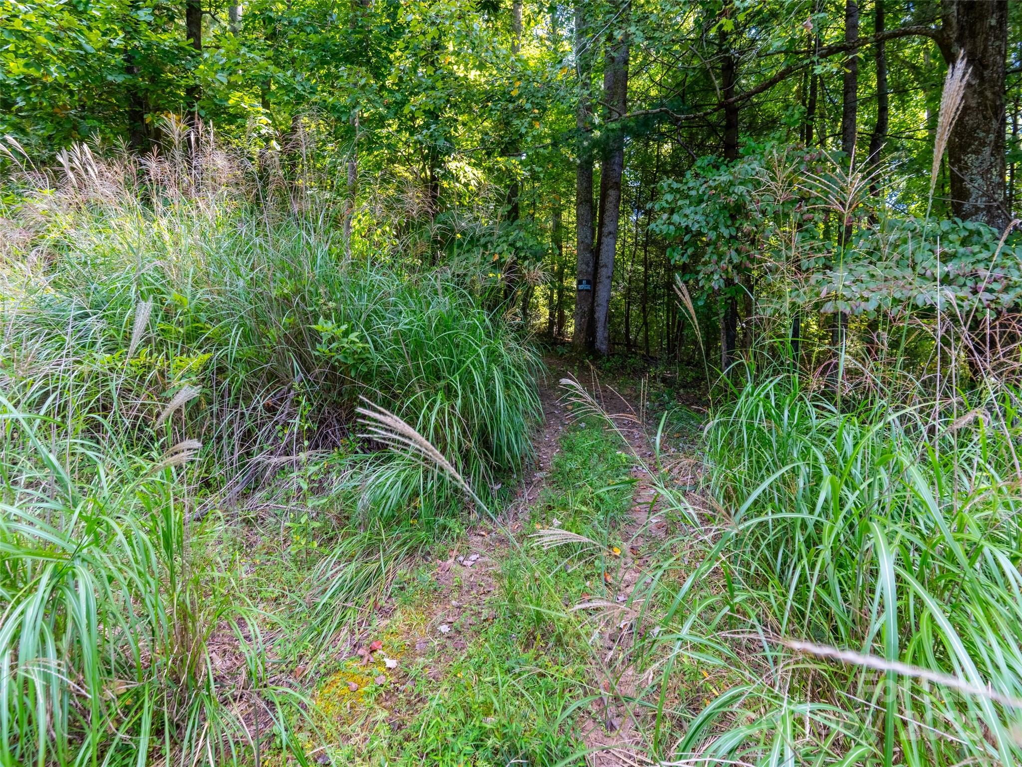 0 Valencia Drive Hendersonville NC 28791