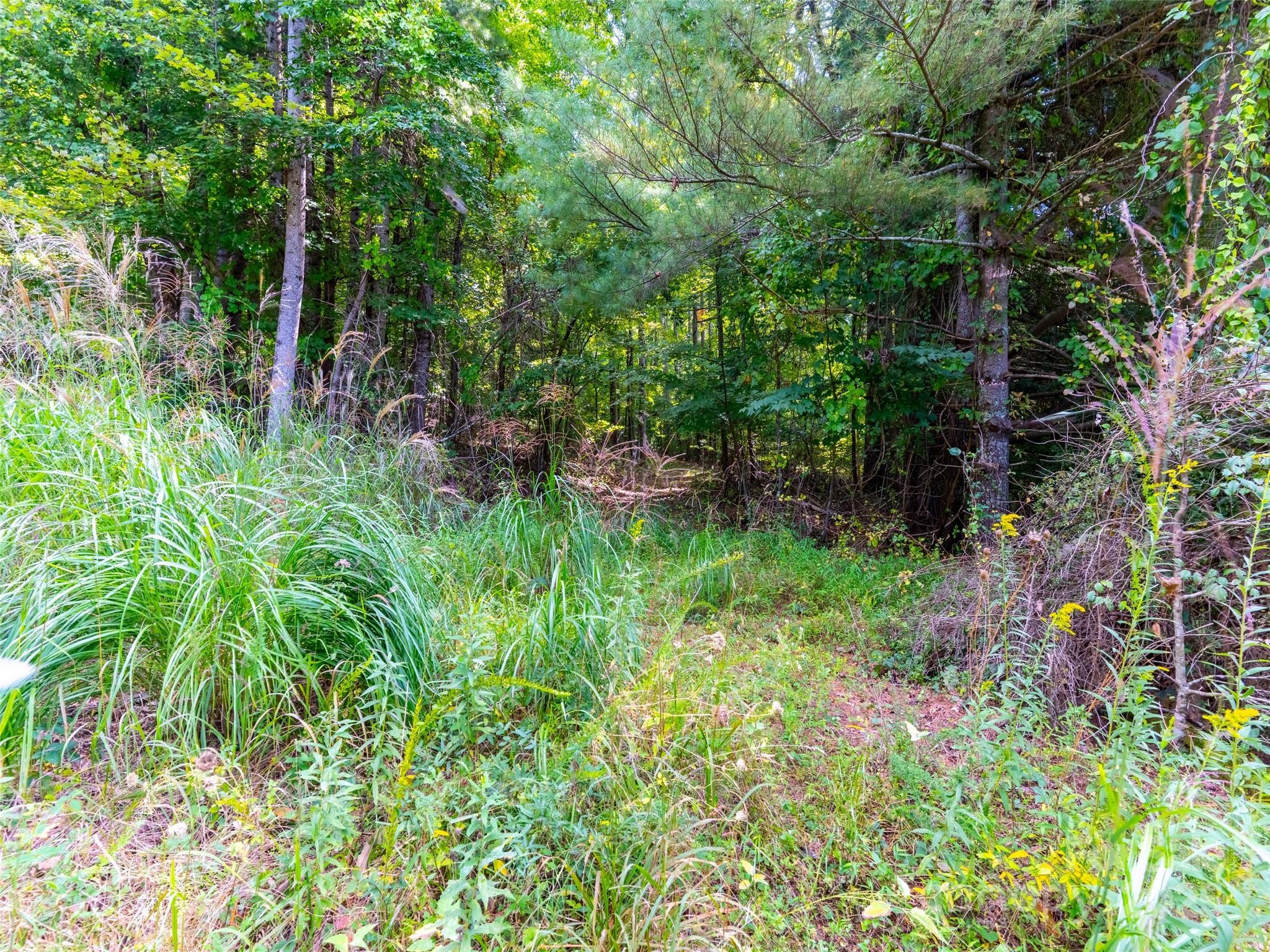 0 Valencia Drive Hendersonville NC 28791