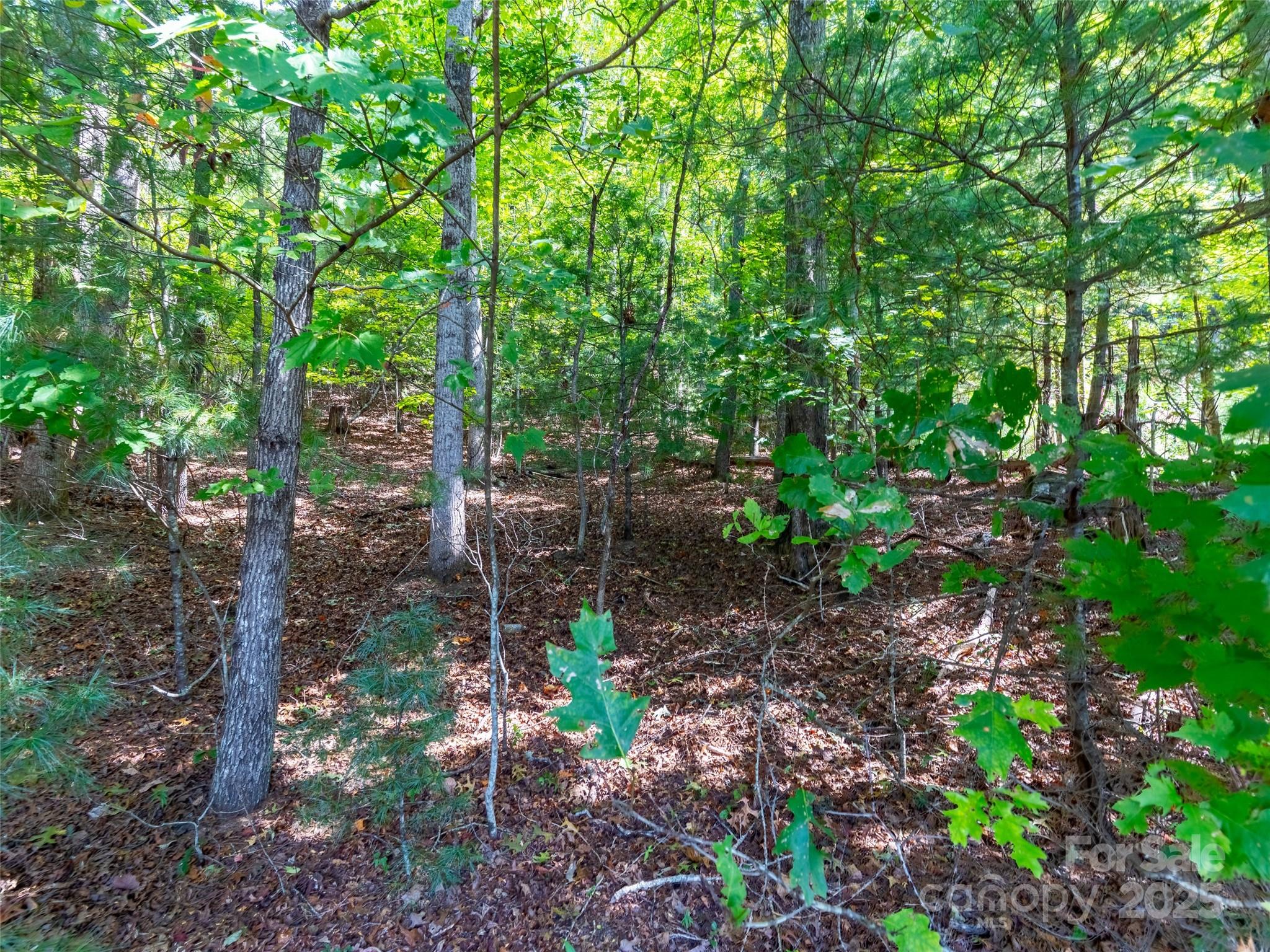 0 Valencia Drive Hendersonville NC 28791