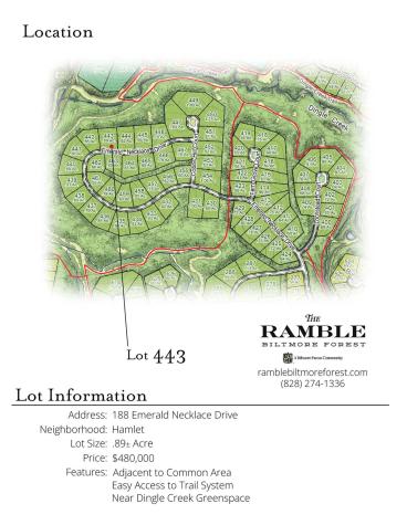 188 Emerald Necklace Drive Asheville NC 28803