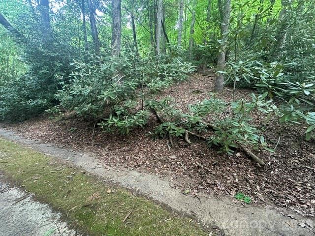 Tbd Glen Cannon Drive Pisgah Forest NC 28768