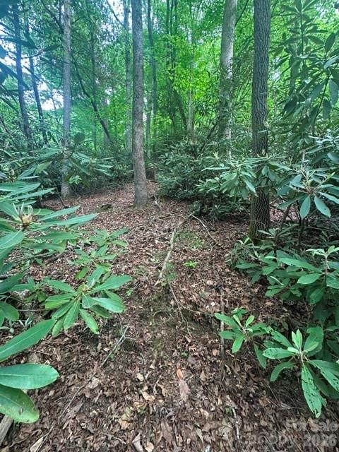 Tbd Glen Cannon Drive Pisgah Forest NC 28768