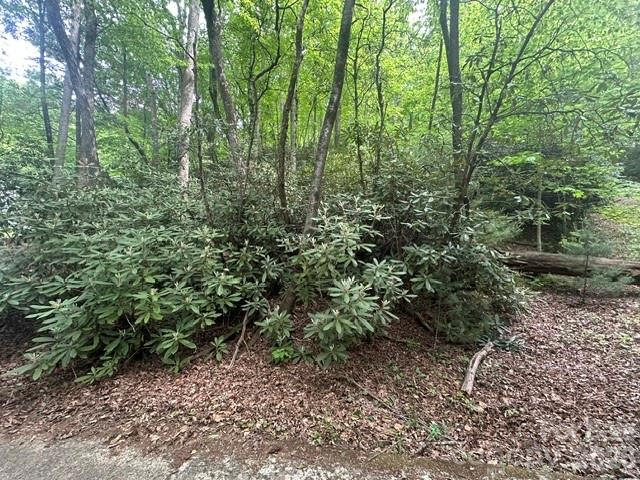 Tbd Glen Cannon Drive Pisgah Forest NC 28768