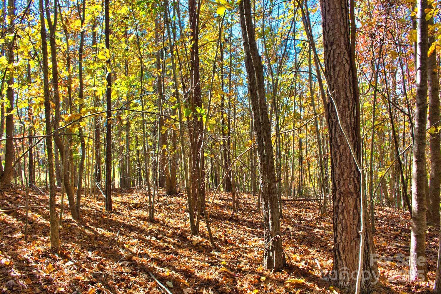 0 Creekside Circle Rutherfordton NC 28139
