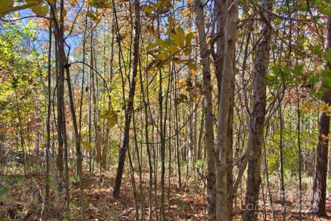 0 Creekside Circle Rutherfordton NC 28139