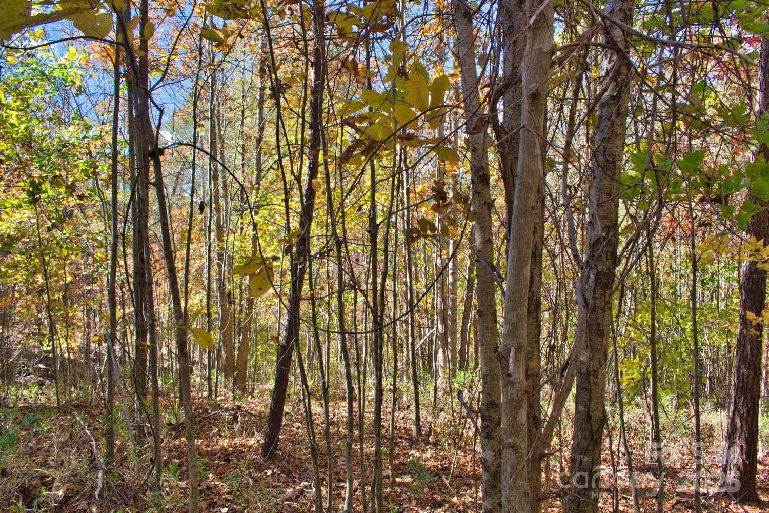 0 Creekside Circle Rutherfordton NC 28139