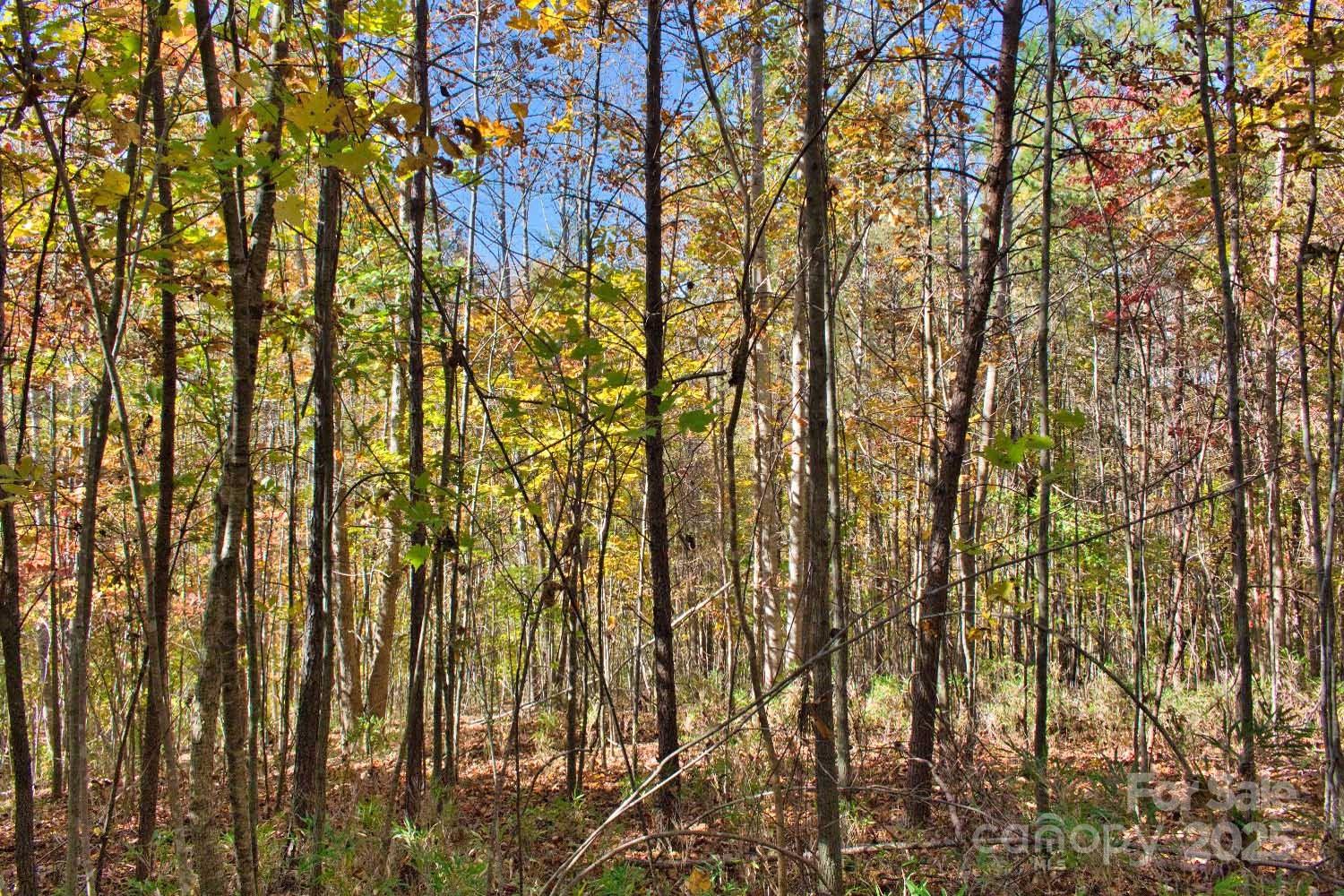 0 Creekside Circle Rutherfordton NC 28139
