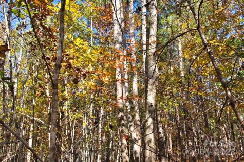 0 Creekside Circle Rutherfordton NC 28139