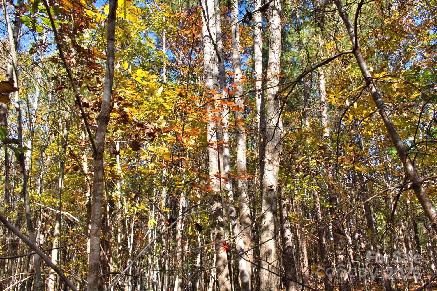 0 Creekside Circle Rutherfordton NC 28139