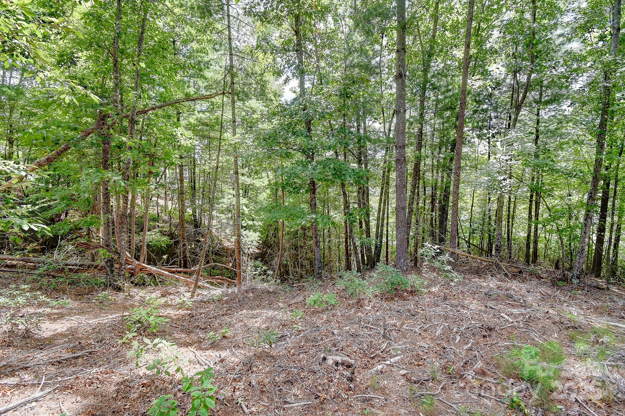 131 West Point Drive Nebo NC 28761