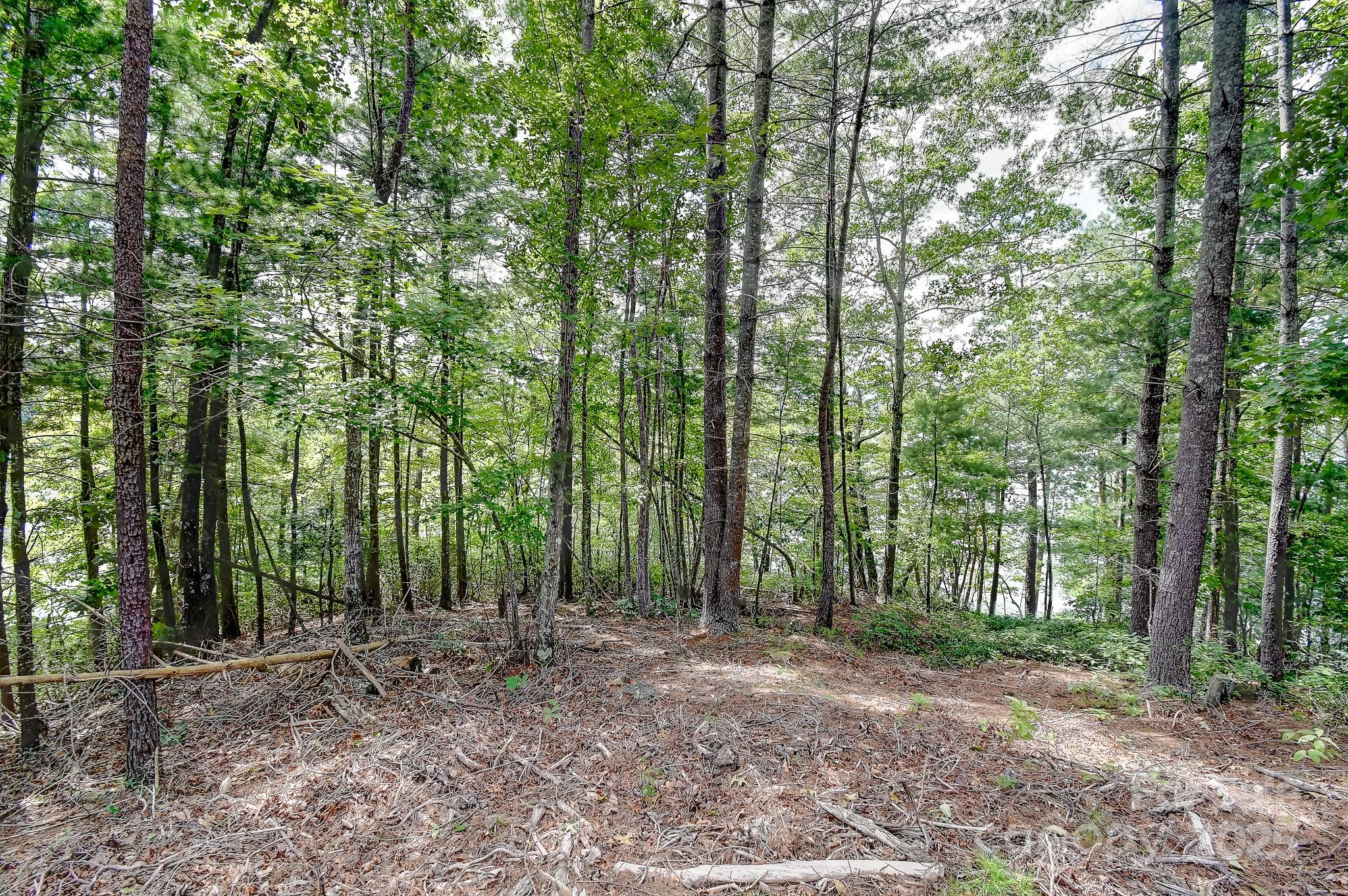 131 West Point Drive Nebo NC 28761