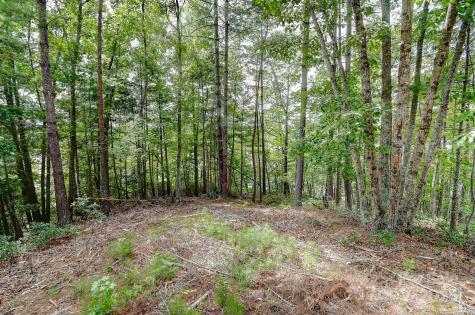 131 West Point Drive Nebo NC 28761