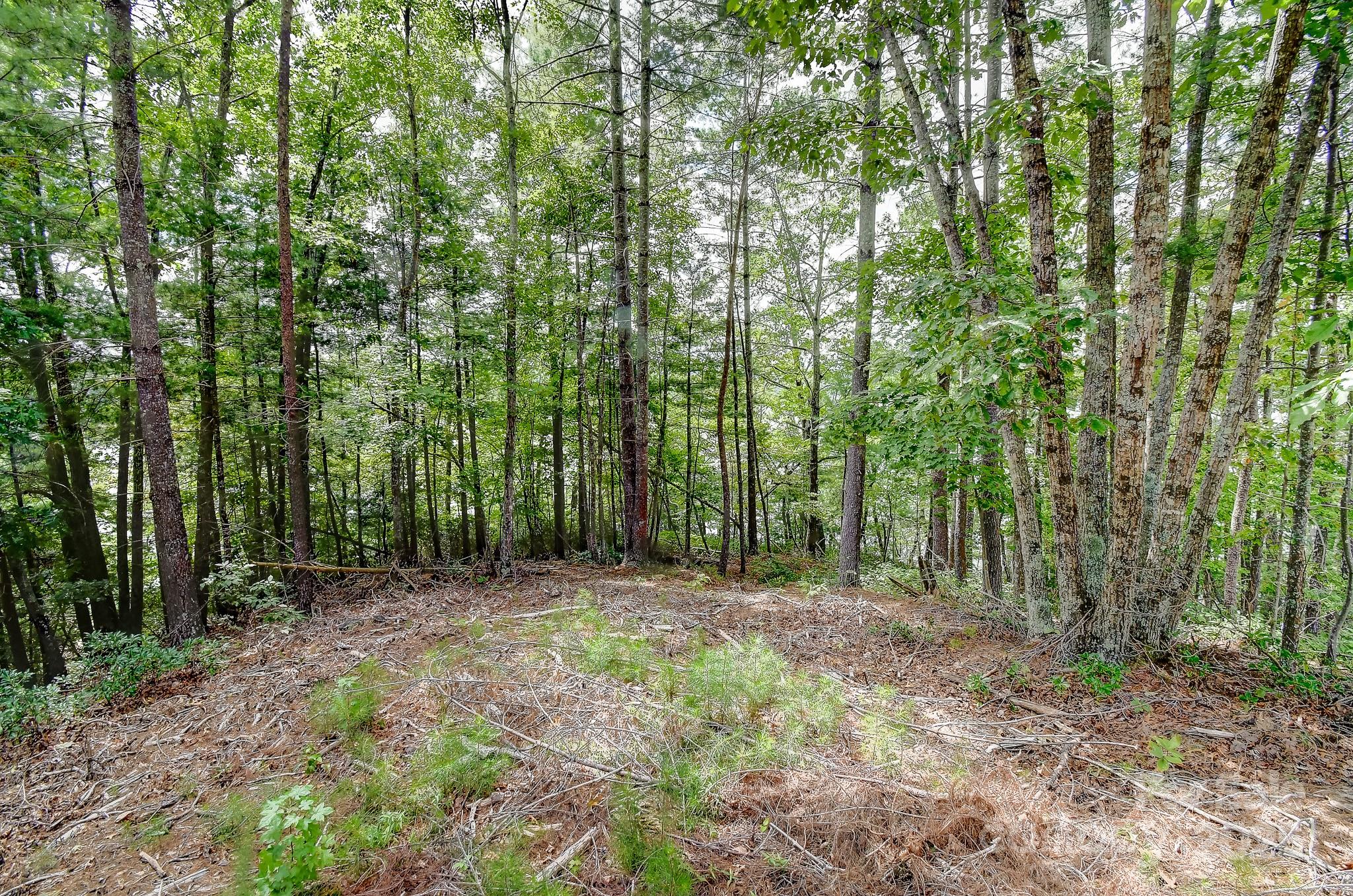 131 West Point Drive Nebo NC 28761