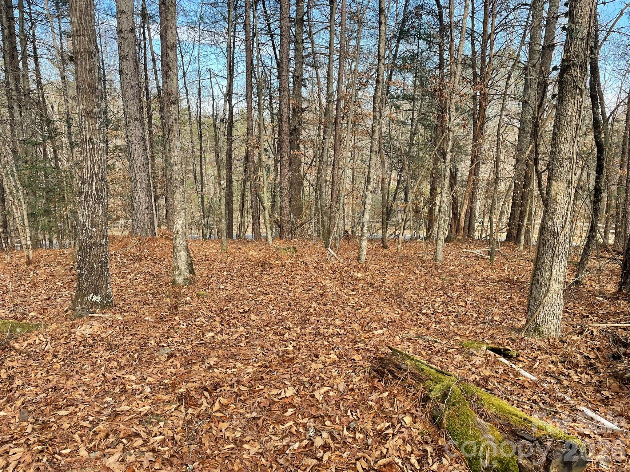 4650 John Berry Road Valdese NC 28690