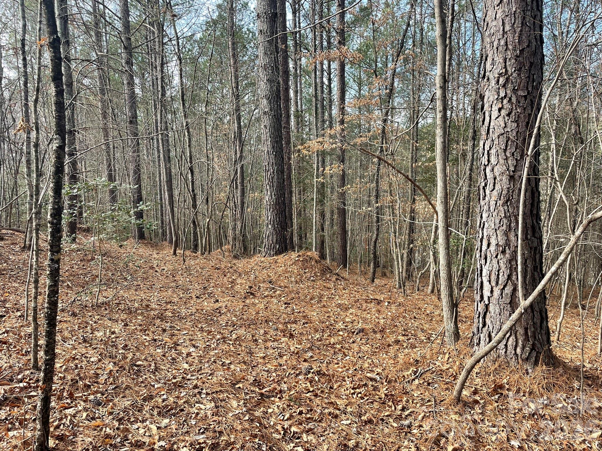4650 John Berry Road Valdese NC 28690