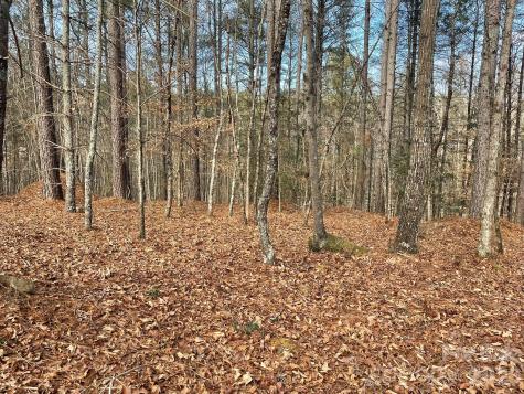 4650 John Berry Road Valdese NC 28690