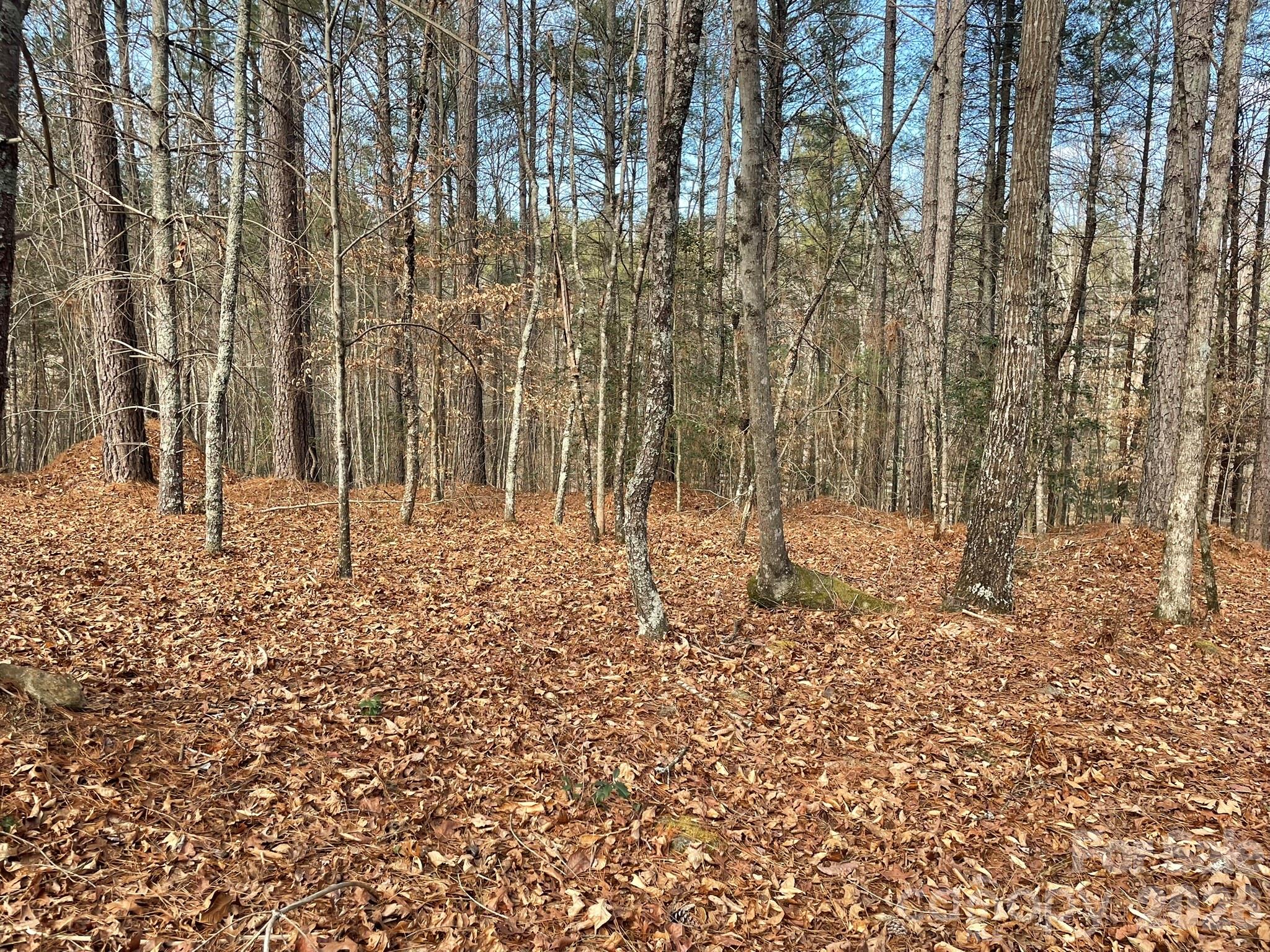 4650 John Berry Road Valdese NC 28690
