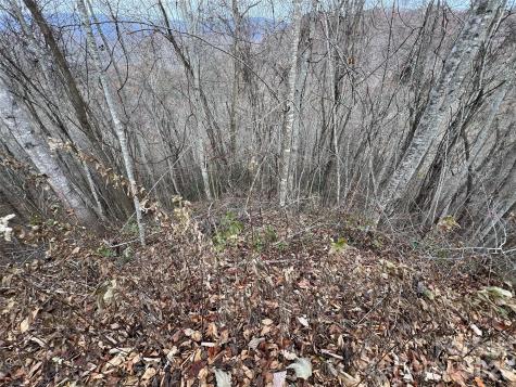 Lot 7 Deer Ridge Road Bryson City NC 28713