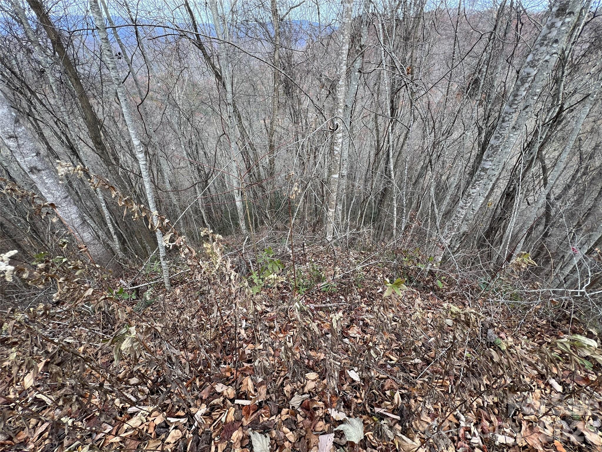 Lot 7 Deer Ridge Road Bryson City NC 28713