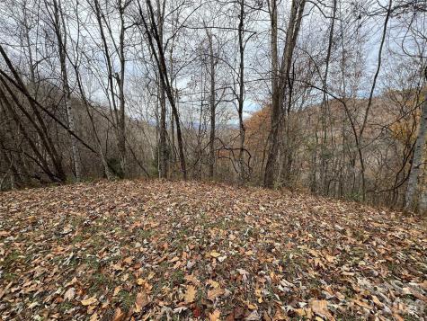 Lot 7 Deer Ridge Road Bryson City NC 28713