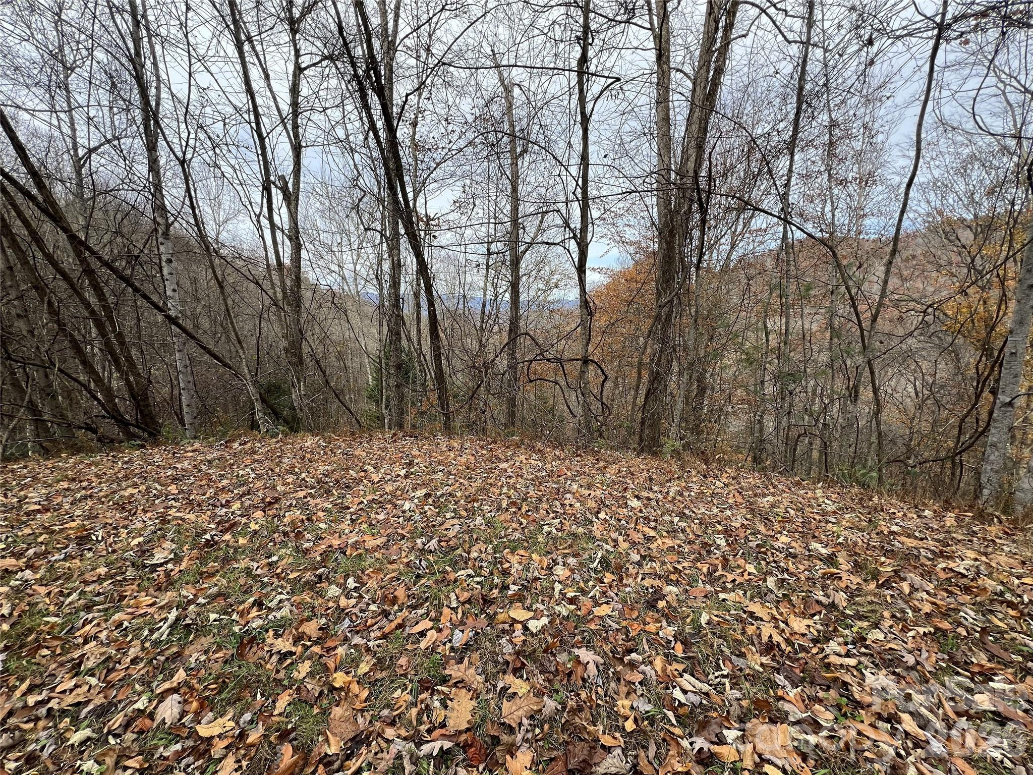 Lot 7 Deer Ridge Road Bryson City NC 28713