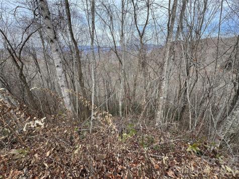 Lot 7 Deer Ridge Road Bryson City NC 28713