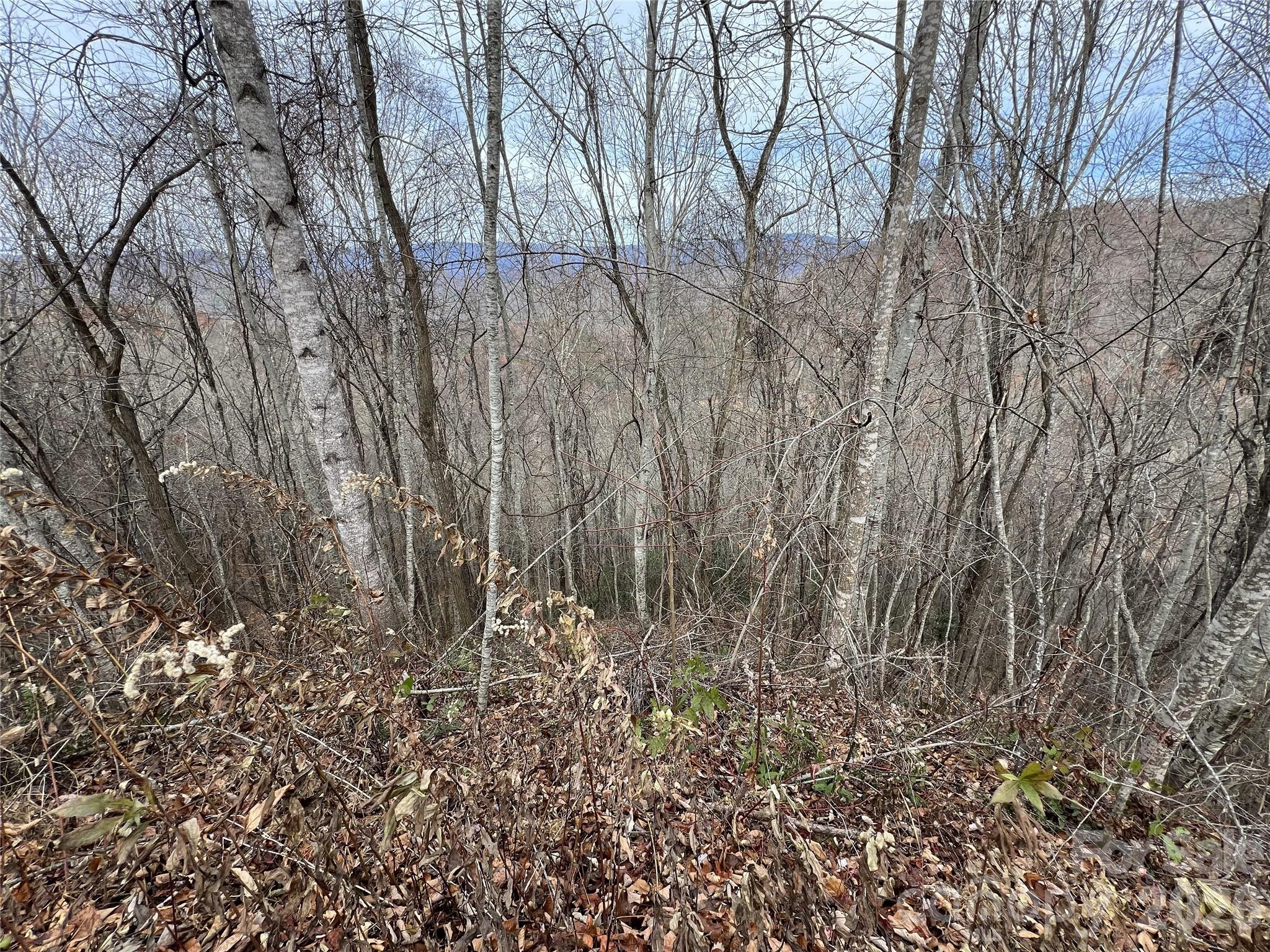 Lot 7 Deer Ridge Road Bryson City NC 28713