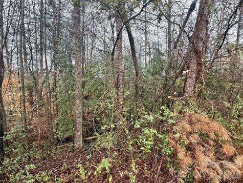 5126 Mark Drive NE Hickory NC 28601