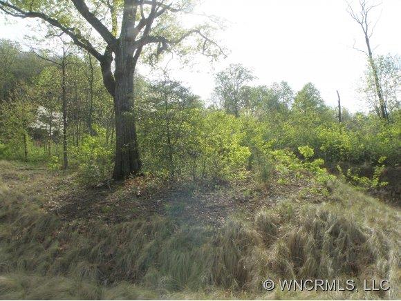 51 Summersweet Lane Asheville NC 28803