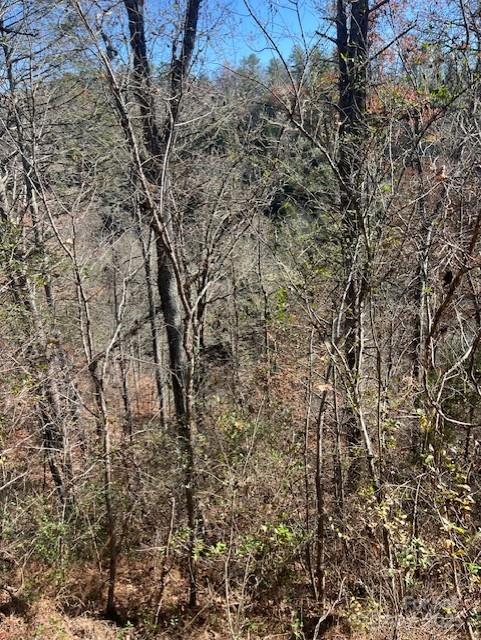 Tbd Bend View Drive Marshall NC 28753