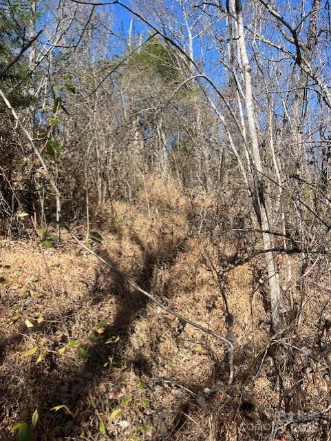 Tbd Bend View Drive Marshall NC 28753